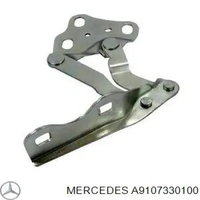 OEM Door Retainer 9107330100