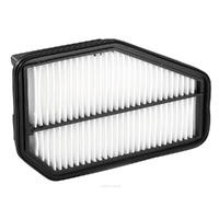 Ryco Air Filter A1624 fits Honda Civic FN Type R  +more