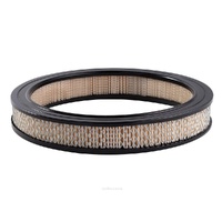 Ryco Air Filter A326A