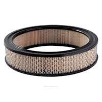 Ryco Air Filter A55