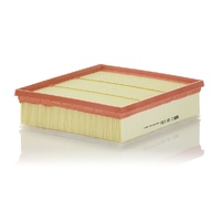 Mann Filter Air Filter C22039