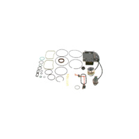 Genuine Bosch Fuel Injection Control Unit F00N300366