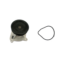 Gates Water Pump GWP4172