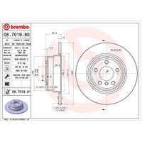 Brembo Rear Brake Rotors Set 08.7019.81