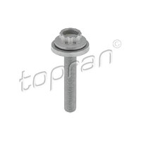 Pulley Bolt N91204401
