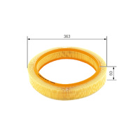 Bosch Air Filter S9992