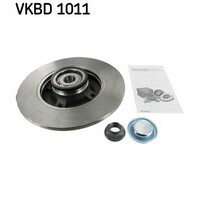 SKF Rear Brake Disc Rotors Set VKBD1011