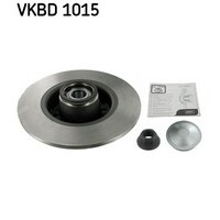 SKF Rear Brake Disc Rotors Set VKBD1015