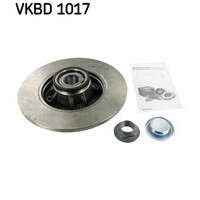 SKF Rear Brake Disc Rotors Set VKBD1017
