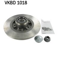 SKF Rear Brake Disc Rotors Set VKBD1018