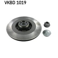 SKF Rear Brake Disc Rotors Set VKBD1019