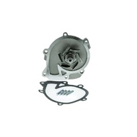 Aisin Aisin Water Pump WPT-113V