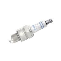Genuine Bosch Iridium Spark Plug WR5BII30